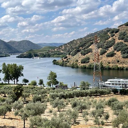 Douro Visit House Βίλα Torre De Moncorvo Εξωτερικό φωτογραφία