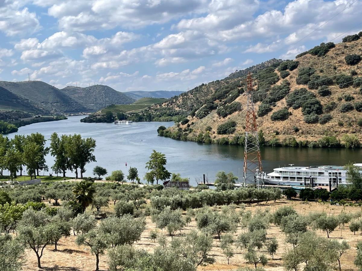 Douro Visit House Βίλα Torre De Moncorvo Εξωτερικό φωτογραφία